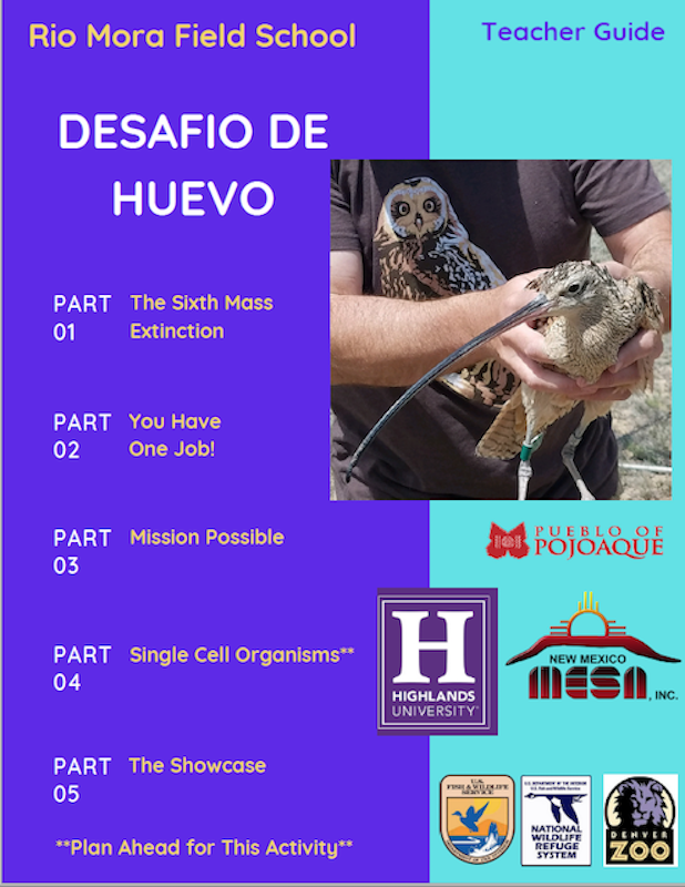 Desafio De Huevo-Egg Drop